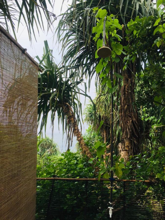 Screwpine Beach Villa ディックウェラ エクステリア 写真